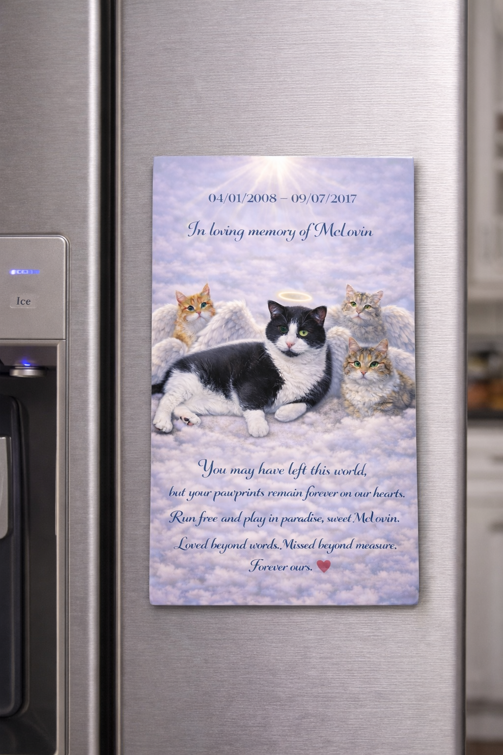 Custom Pet Memorial Magnet – Personalized Photo Keepsake, Pet Loss Gift