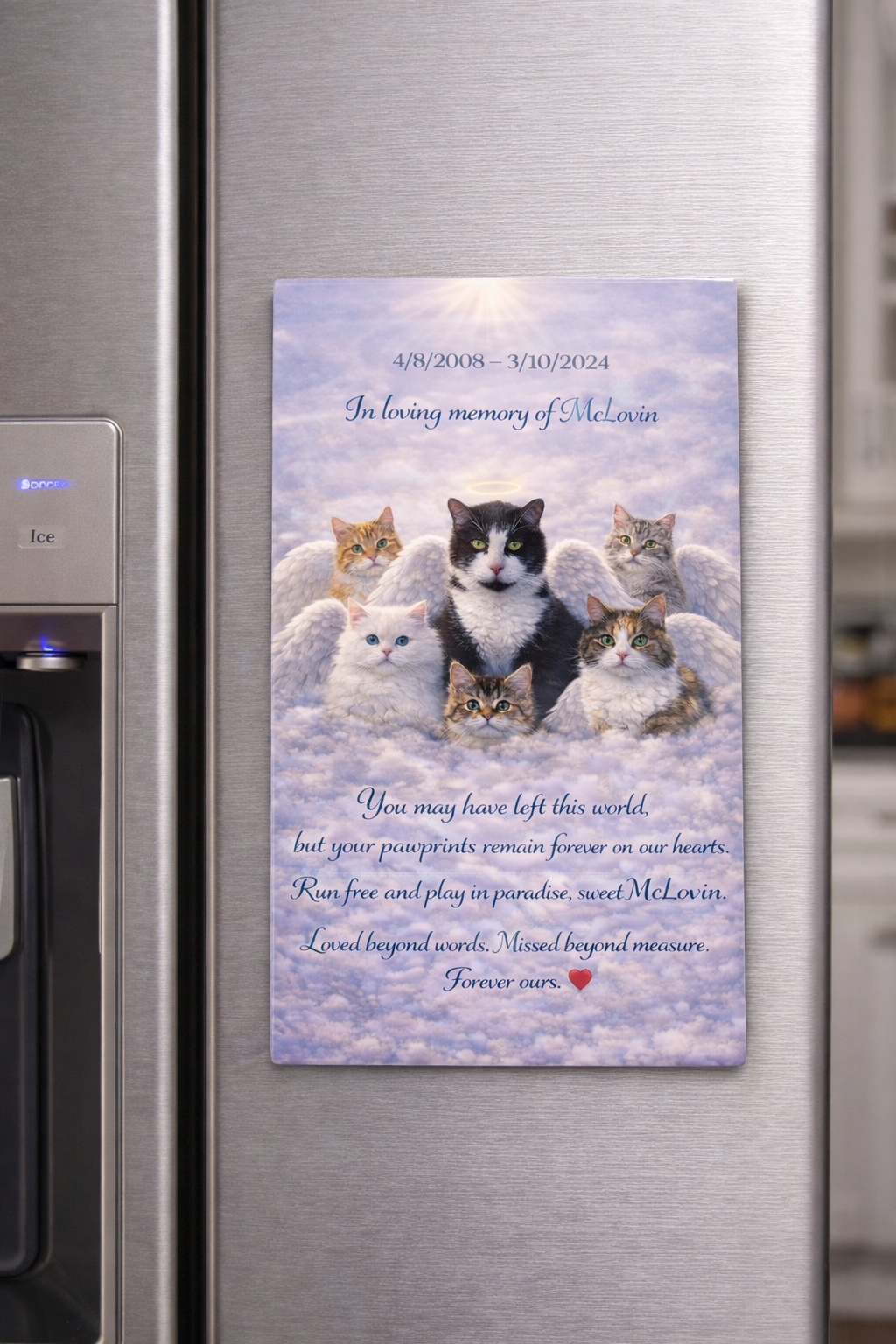Custom Pet Memorial Magnet – Personalized Photo Keepsake, Pet Loss Gift