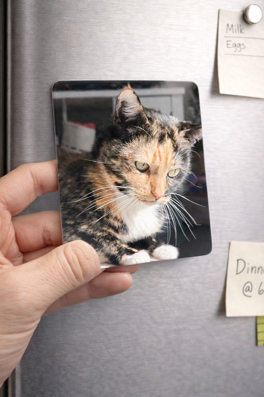 Custom Photo Magnet | 3–4” Vinyl Fridge Magnet | Keepsake